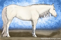 Horse Color:White Spotted Gold Cream Champagne Pearl Dun