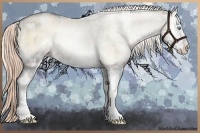 Horse Color:Plaid  White Spotted Chocolate Palomino Pearl Onyx Sabino Rabicano 