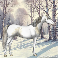 Horse Color:Liver Red Dun Onyx Sabino Splash Tobiano 