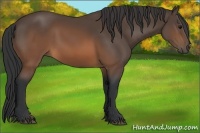 Horse Color:Brown 