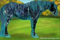 Horse Color:ERROR: UNKNOWN ANOMALY and ERROR: UNKNOWN ANOMALY