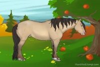 Horse Color:Amber Champagne Roan Dun 