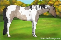 Horse Color:Brown Roan Dun Tobiano Rabicano