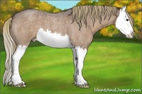 Horse Color:Liver Red Roan Splash 
