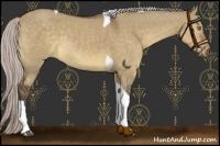 Horse Color:Silver Brown Dun Tobiano 