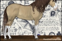 Horse Color:Liver Red Dun Splash