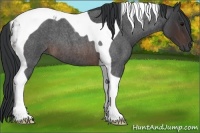 Horse Color:Brown Roan Tobiano 