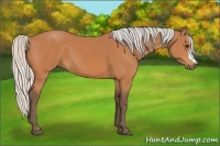 Horse Color:Silver Bay 