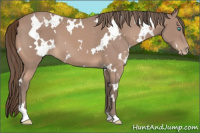 Horse Color:Gray White Spotted Perlino 