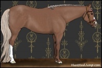 Horse Color:Chocolate Silver Black