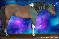 Horse Color:Buckskin Tobiano