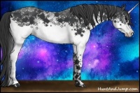 Horse Color:White Spotted Black 