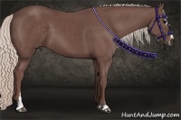 Horse Color:Chocolate Silver Black Sabino
