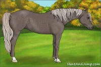 Horse Color:Silver Black 