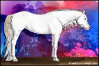 Horse Color:Perlino Sabino