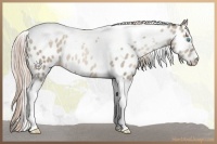 Horse Color:Chocolate Palomino Pearl Tobiano Appaloosa Rabicano