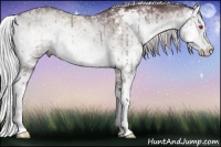 Horse Color:Chocolate Silver Buckskin Chinchilla Onyx Sabino