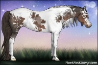 Horse Color:White Spotted Liver Chestnut Tobiano 