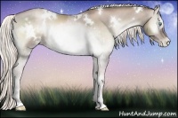 Horse Color:White Spotted Chocolate Palomino Pearl Onyx