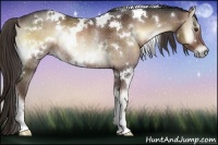 Horse Color:White Spotted Liver Red Onyx Rabicano 