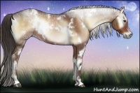 Horse Color:White Spotted Liver Red Onyx Ice
