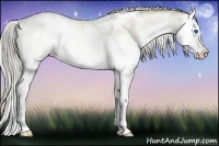 Horse Color:White Spotted Chocolate Palomino Ice Pearl Onyx Splash Rabicano