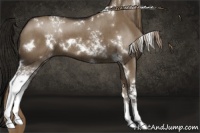 Horse Color:White Spotted Liver Red Dun 