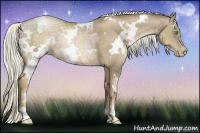 Horse Color:White Spotted Liver Chestnut Ice Pearl 