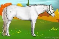 Horse Color:Plaid  White Spotted Liver Chestnut Ice 