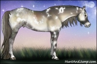 Horse Color:White Spotted Liver Red Onyx Ice Rabicano 