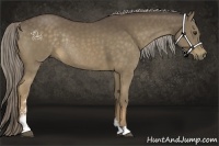 Horse Color:Chocolate Palomino Sabino Rabicano