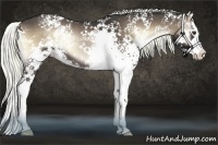 Horse Color:White Spotted Liver Red Onyx Splash