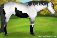 Horse Color:Brown Chinchilla Onyx Rabicano 