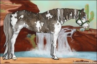 Horse Color:White Spotted Liver Chestnut Ice Splash 