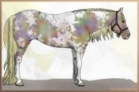 Horse Color:Painted Nacre Chocolate Palomino Ice Dun Tobiano 