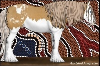 Horse Color:Palomino Splash Appaloosa 