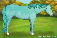 Horse Color:Watercolor Smoky Black Ice 