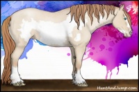 Horse Color:Smoky Blue Roan Pearl Frame 