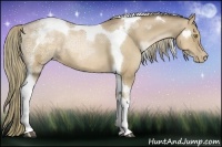 Horse Color:Liver Chestnut Ice Pearl Tobiano Rabicano 
