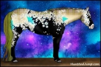 Horse Color:Plaid White Spotted Liver Red Onyx Sabino Rabicano