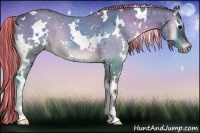 Horse Color:Painted White Spotted Silver Blue Onyx 