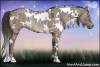 Horse Color:White Spotted Liver Red Dun Ice Rabicano