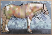 Horse Color:Nacre Liver Chestnut Pearl Sabino Tobiano 