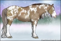 Horse Color:White Spotted Liver Red Dun Sabino Splash Appaloosa 