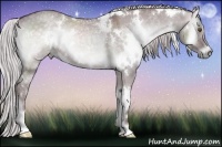 Horse Color:White Spotted Chocolate Silver Grullo Chinchilla Onyx 