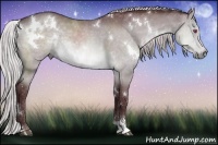 Horse Color:White Spotted Chocolate Silver Brown Chinchilla Dun Sabino