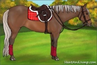 Horse Color:Silver Brown 