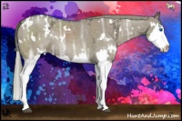 Horse Color:White Spotted Liver Red Dun Ice Sabino Splash Rabicano