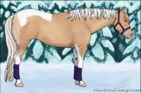 Horse Color:Silver Amber Champagne Tobiano 