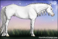 Horse Color:White Spotted Chocolate Palomino Ice Onyx Splash Tobiano Rabicano